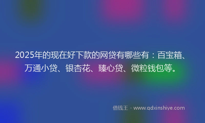 2025年的现在好下款的网贷有哪些有：百宝箱、万通小贷、银杏花、臻心贷、微粒钱包等。