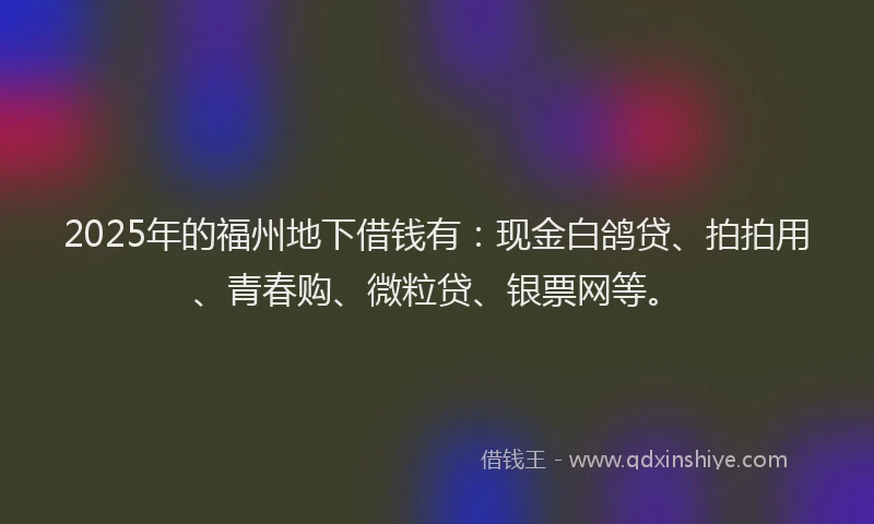 2025年的福州地下借钱有：现金白鸽贷、拍拍用、青春购、微粒贷、银票网等。