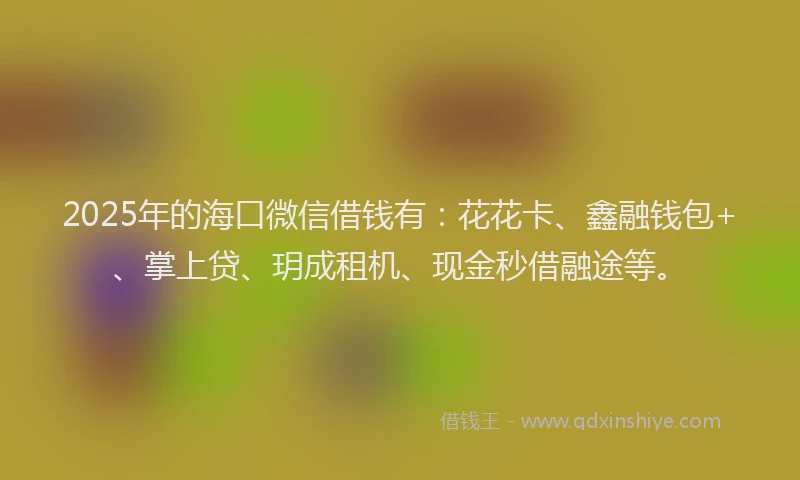 2025年的海口微信借钱有：花花卡、鑫融钱包+、掌上贷、玥成租机、现金秒借融途等。