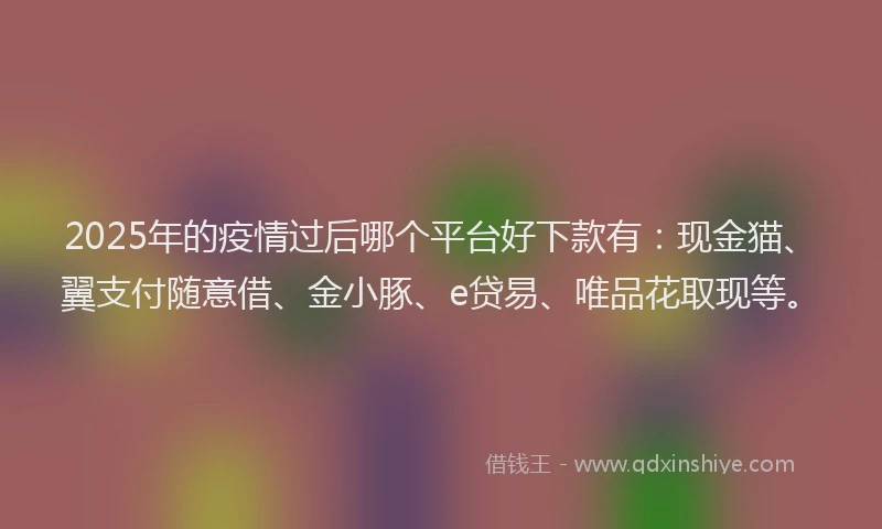 2025年的疫情过后哪个平台好下款有：现金猫、翼支付随意借、金小豚、e贷易、唯品花取现等。