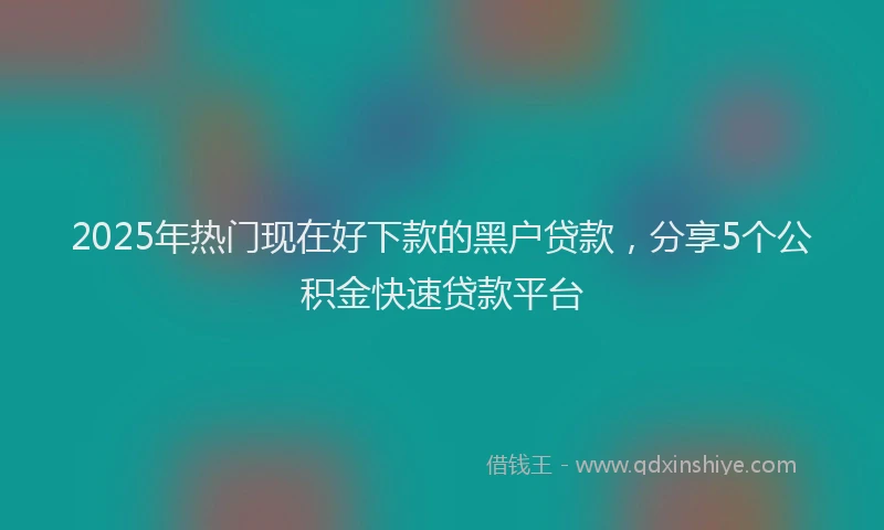 2025年热门现在好下款的黑户贷款，分享5个公积金快速贷款平台