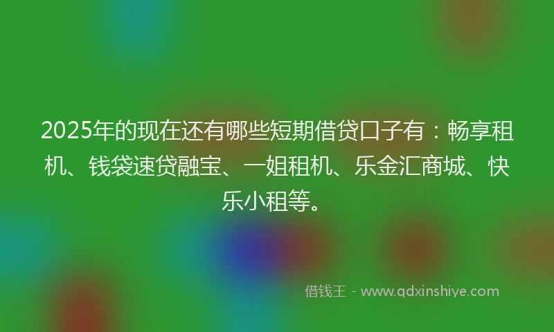 2025年的现在还有哪些短期借贷口子有：畅享租机、钱袋速贷融宝、一姐租机、乐金汇商城、快乐小租等。