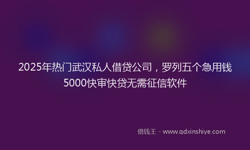 2025年热门武汉私人借贷公司，罗列五个急用钱5000快审快贷无需征信软件