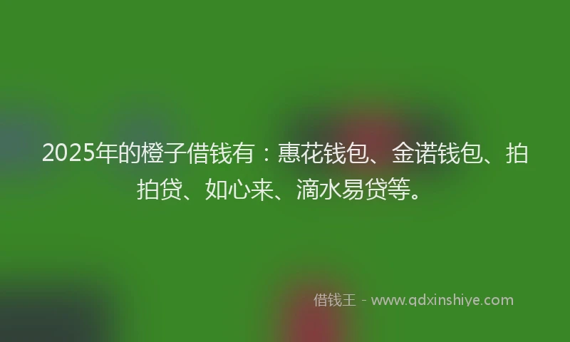 2025年的橙子借钱有：惠花钱包、金诺钱包、拍拍贷、如心来、滴水易贷等。