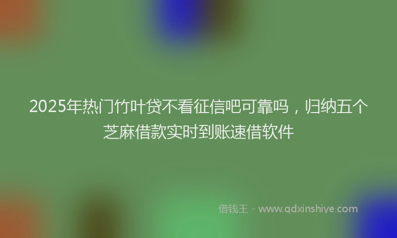 2025年热门竹叶贷不看征信吧可靠吗，归纳五个芝麻借款实时到账速借软件