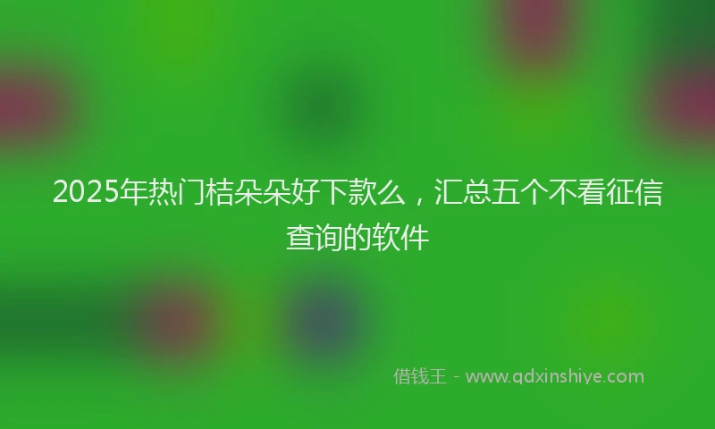 2025年热门桔朵朵好下款么，汇总五个不看征信查询的软件