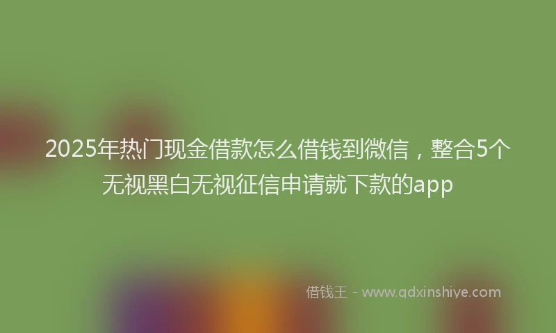 2025年热门现金借款怎么借钱到微信，整合5个无视黑白无视征信申请就下款的app