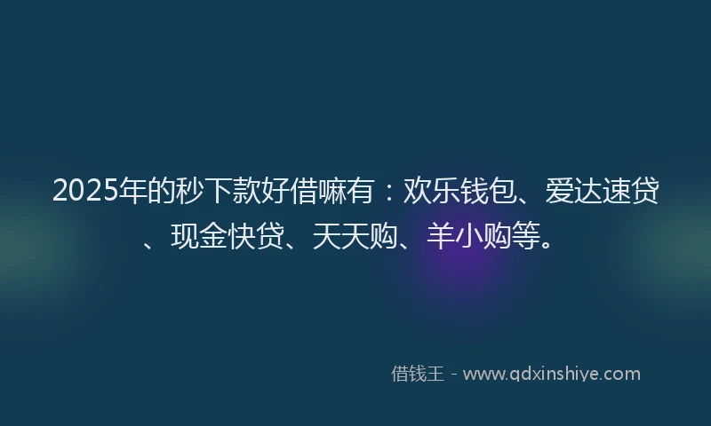 2025年的秒下款好借嘛有：欢乐钱包、爱达速贷、现金快贷、天天购、羊小购等。