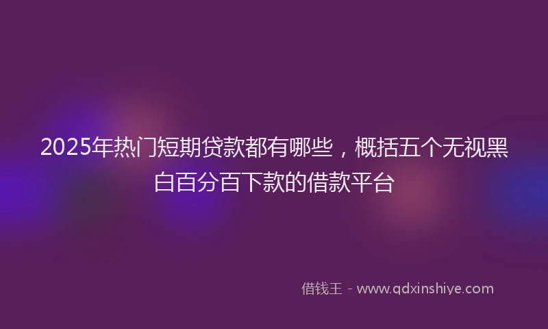 2025年热门短期贷款都有哪些，概括五个无视黑白百分百下款的借款平台