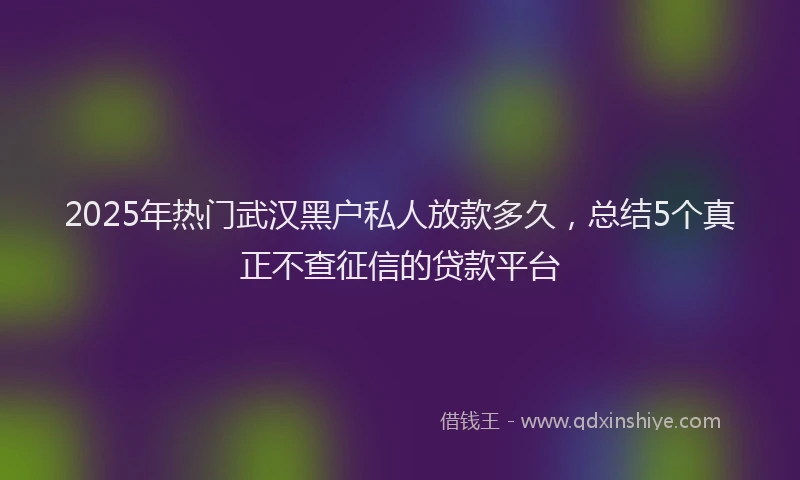 2025年热门武汉黑户私人放款多久，总结5个真正不查征信的贷款平台