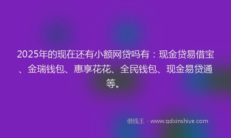 2025年的现在还有小额网贷吗有：现金贷易借宝、金瑞钱包、惠享花花、全民钱包、现金易贷通等。