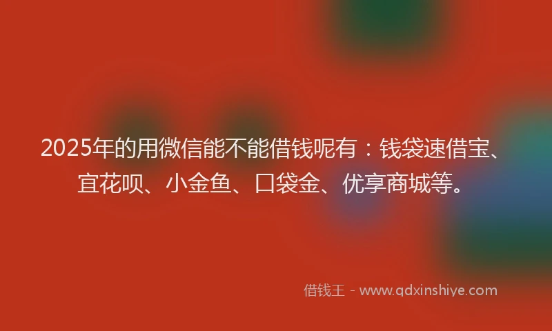 2025年的用微信能不能借钱呢有：钱袋速借宝、宜花呗、小金鱼、口袋金、优享商城等。