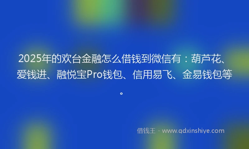 2025年的欢台金融怎么借钱到微信有：葫芦花、爱钱进、融悦宝Pro钱包、信用易飞、金易钱包等。