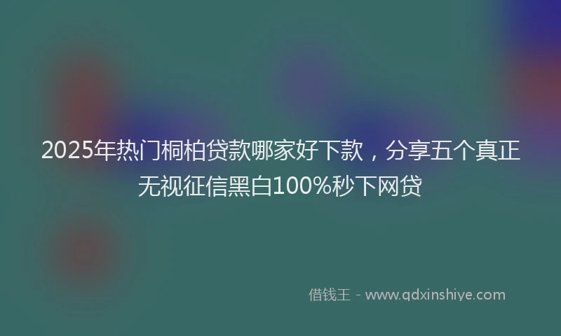 2025年热门桐柏贷款哪家好下款，分享五个真正无视征信黑白100%秒下网贷