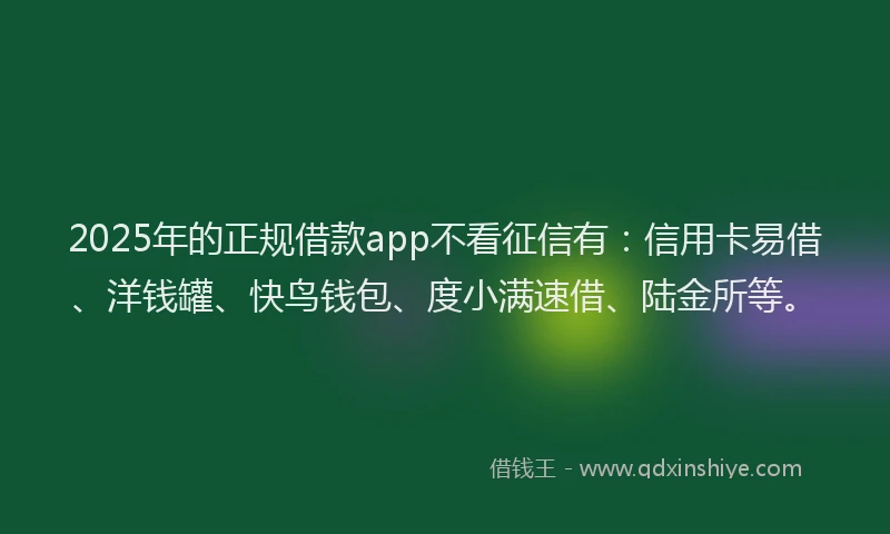 2025年的正规借款app不看征信有：信用卡易借、洋钱罐、快鸟钱包、度小满速借、陆金所等。