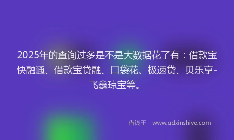 2025年的查询过多是不是大数据花了有：借款宝快融通、借款宝贷融、口袋花、极速贷、贝乐享-飞鑫琼宝等。