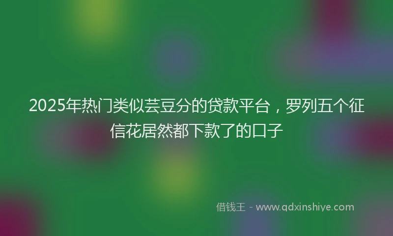 2025年热门类似芸豆分的贷款平台，罗列五个征信花居然都下款了的口子