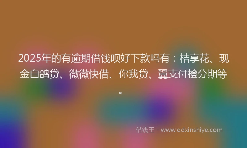 2025年的有逾期借钱呗好下款吗有：桔享花、现金白鸽贷、微微快借、你我贷、翼支付橙分期等。