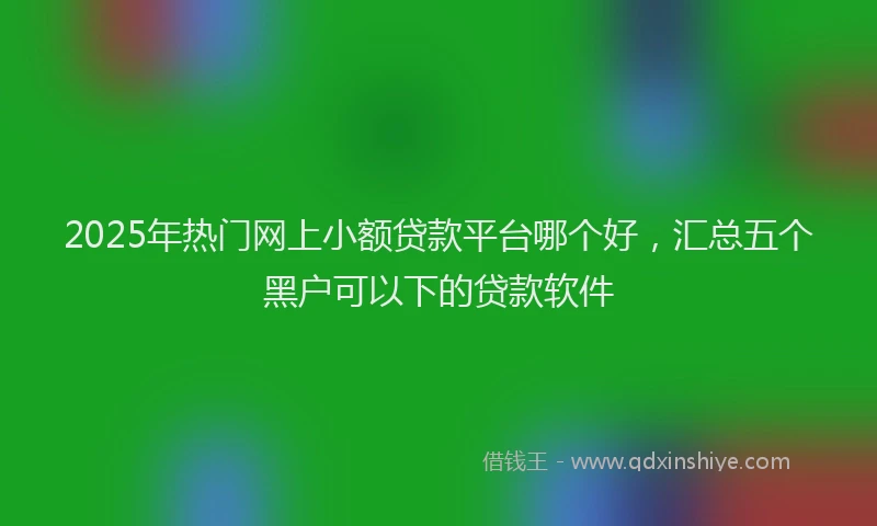 2025年热门网上小额贷款平台哪个好，汇总五个黑户可以下的贷款软件