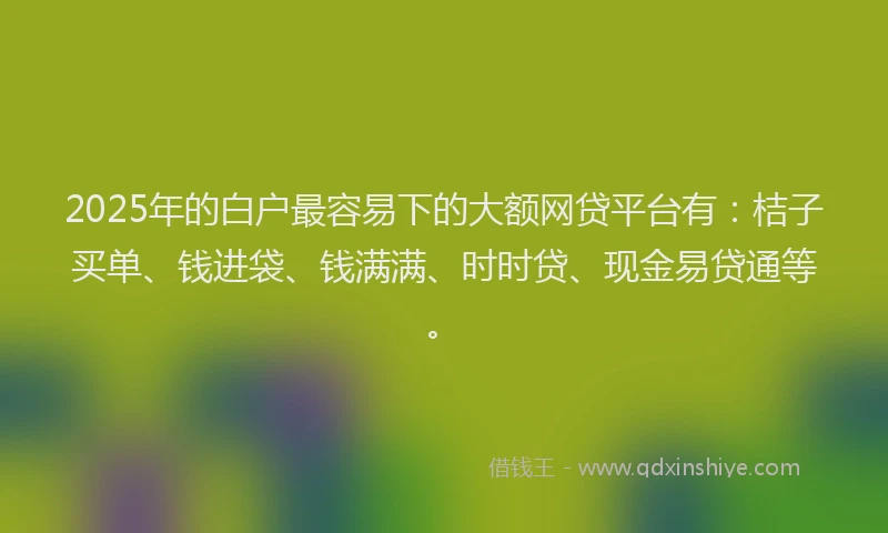 2025年的白户最容易下的大额网贷平台有：桔子买单、钱进袋、钱满满、时时贷、现金易贷通等。