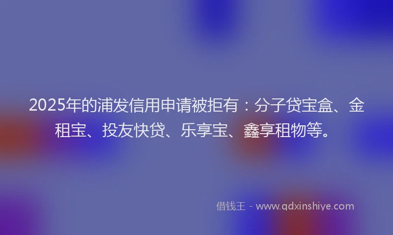 2025年的浦发信用申请被拒有：分子贷宝盒、金租宝、投友快贷、乐享宝、鑫享租物等。