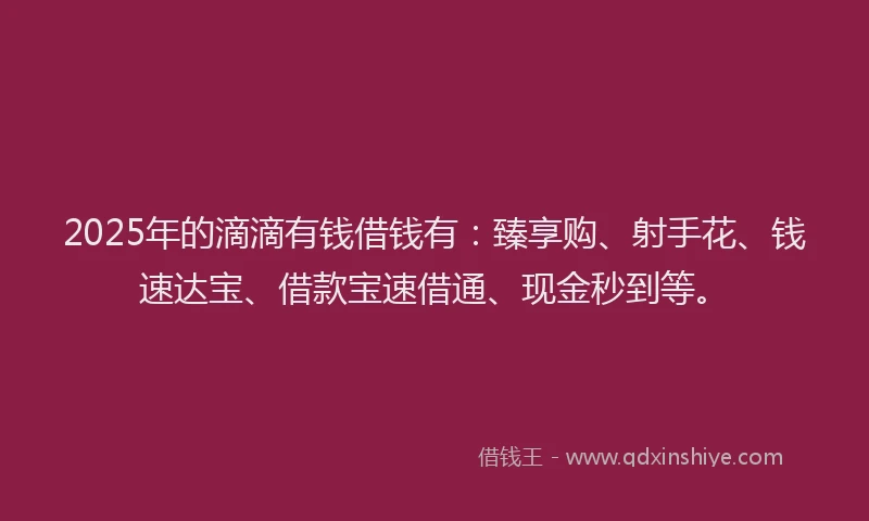2025年的滴滴有钱借钱有：臻享购、射手花、钱速达宝、借款宝速借通、现金秒到等。