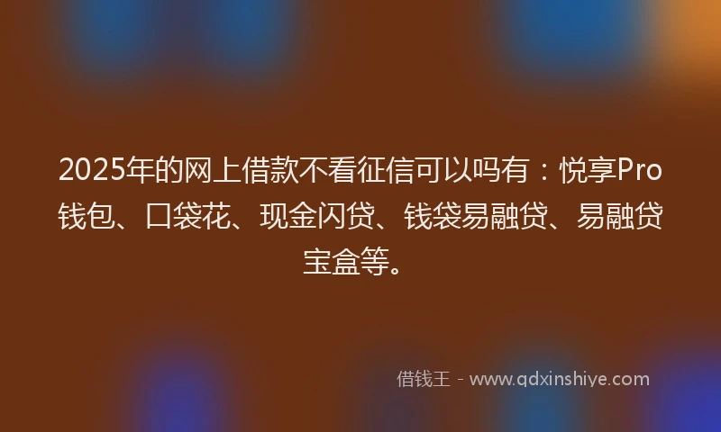 2025年的网上借款不看征信可以吗有：悦享Pro钱包、口袋花、现金闪贷、钱袋易融贷、易融贷宝盒等。