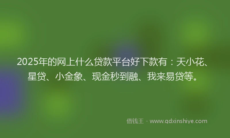 2025年的网上什么贷款平台好下款有：天小花、星贷、小金象、现金秒到融、我来易贷等。