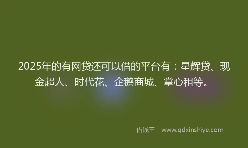 2025年的有网贷还可以借的平台有：星辉贷、现金超人、时代花、企鹅商城、掌心租等。