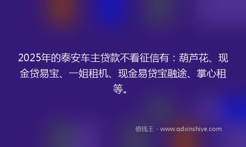 2025年的泰安车主贷款不看征信有：葫芦花、现金贷易宝、一姐租机、现金易贷宝融途、掌心租等。
