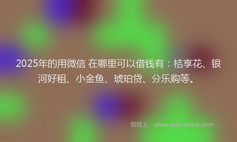 2025年的用微信 在哪里可以借钱有：桔享花、银河好租、小金鱼、琥珀贷、分乐购等。