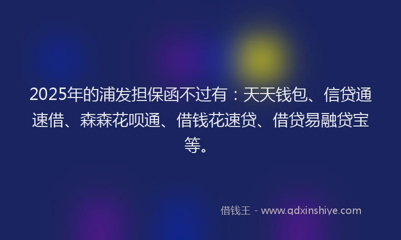 2025年的浦发担保函不过有：天天钱包、信贷通速借、森森花呗通、借钱花速贷、借贷易融贷宝等。
