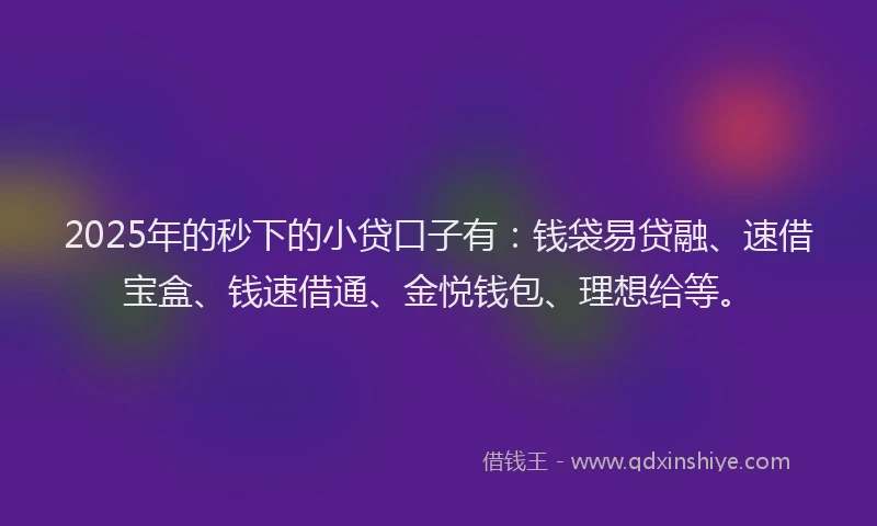 2025年的秒下的小贷口子有：钱袋易贷融、速借宝盒、钱速借通、金悦钱包、理想给等。