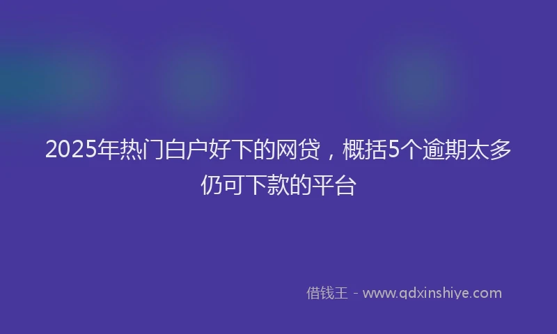 2025年热门白户好下的网贷，概括5个逾期太多仍可下款的平台