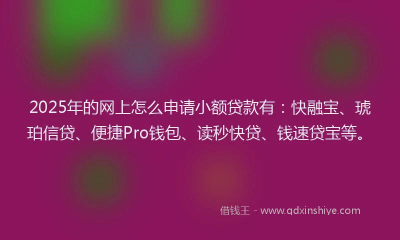 2025年的网上怎么申请小额贷款有：快融宝、琥珀信贷、便捷Pro钱包、读秒快贷、钱速贷宝等。