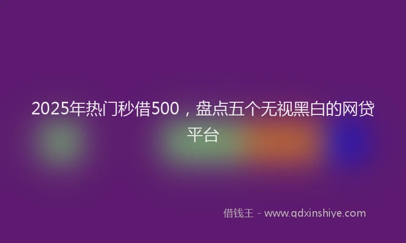2025年热门秒借500，盘点五个无视黑白的网贷平台