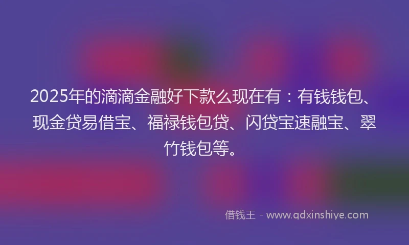 2025年的滴滴金融好下款么现在有：有钱钱包、现金贷易借宝、福禄钱包贷、闪贷宝速融宝、翠竹钱包等。