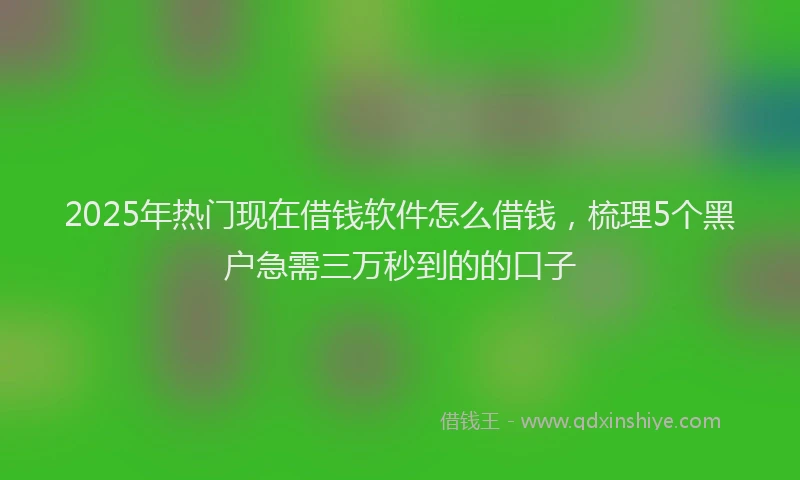 2025年热门现在借钱软件怎么借钱，梳理5个黑户急需三万秒到的的口子