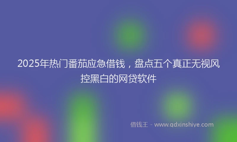 2025年热门番茄应急借钱，盘点五个真正无视风控黑白的网贷软件