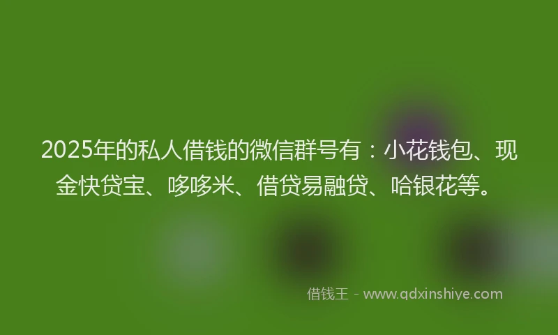 2025年的私人借钱的微信群号有：小花钱包、现金快贷宝、哆哆米、借贷易融贷、哈银花等。