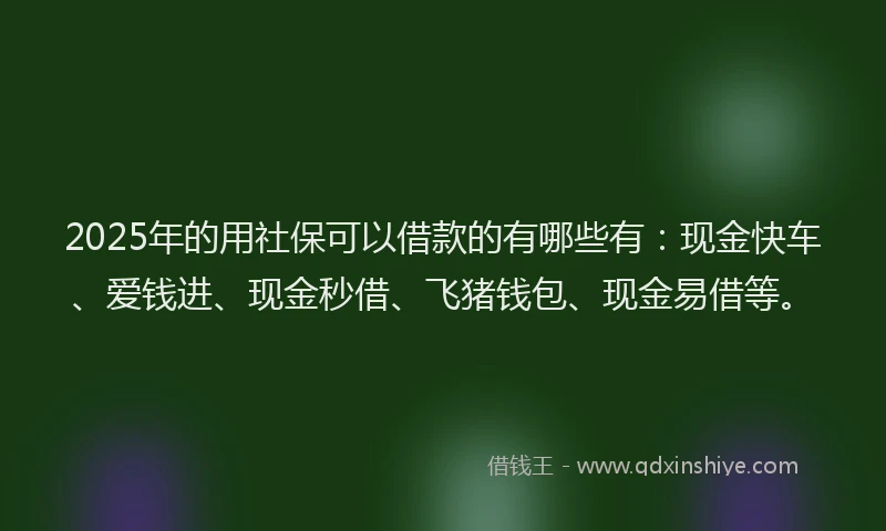 2025年的用社保可以借款的有哪些有：现金快车、爱钱进、现金秒借、飞猪钱包、现金易借等。