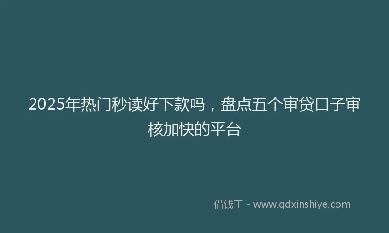 2025年热门秒读好下款吗，盘点五个审贷口子审核加快的平台