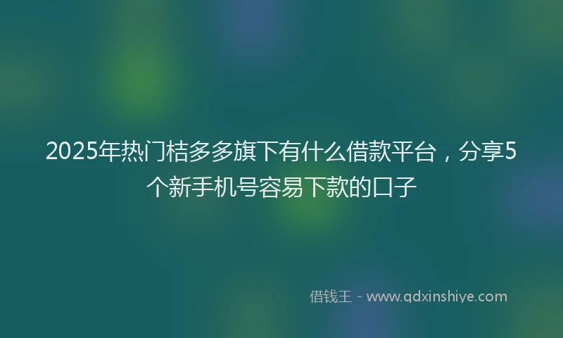 2025年热门桔多多旗下有什么借款平台，分享5个新手机号容易下款的口子
