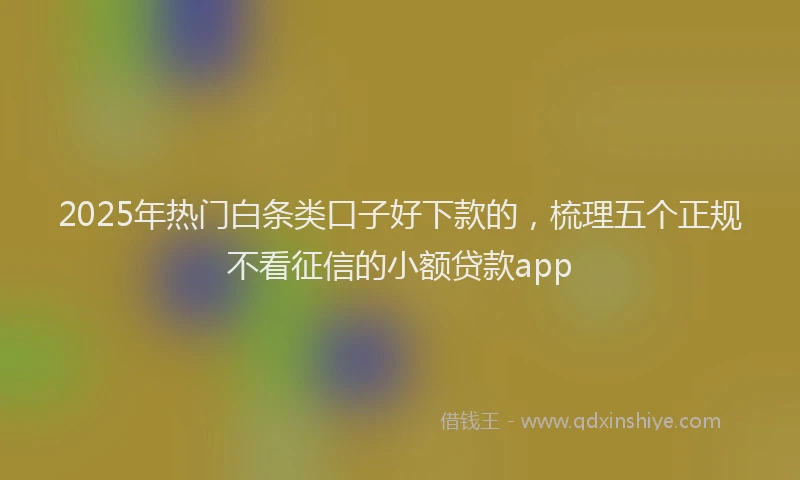 2025年热门白条类口子好下款的，梳理五个正规不看征信的小额贷款app