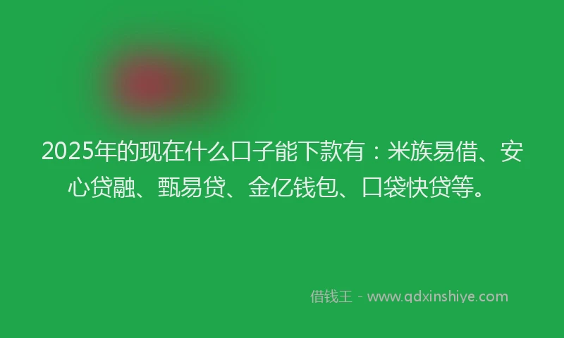 2025年的现在什么口子能下款有：米族易借、安心贷融、甄易贷、金亿钱包、口袋快贷等。
