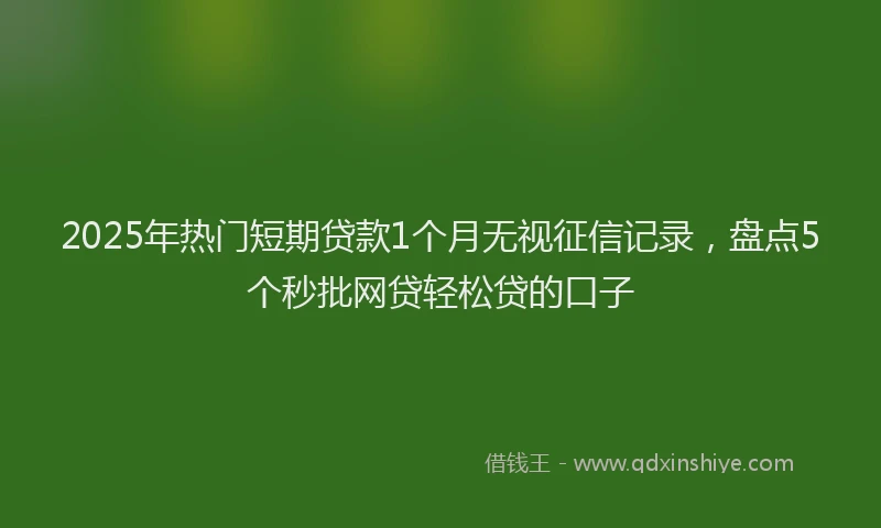 2025年热门短期贷款1个月无视征信记录，盘点5个秒批网贷轻松贷的口子