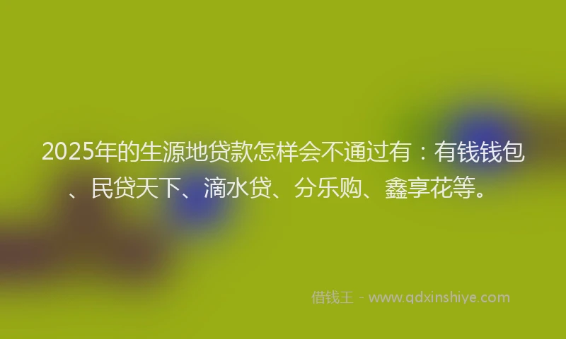 2025年的生源地贷款怎样会不通过有：有钱钱包、民贷天下、滴水贷、分乐购、鑫享花等。