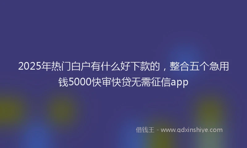 2025年热门白户有什么好下款的，整合五个急用钱5000快审快贷无需征信app