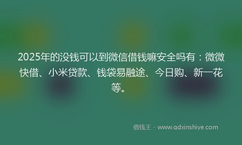 2025年的没钱可以到微信借钱嘛安全吗有：微微快借、小米贷款、钱袋易融途、今日购、新一花等。