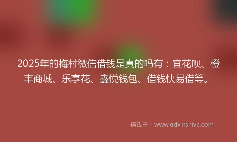 2025年的梅村微信借钱是真的吗有：宜花呗、橙丰商城、乐享花、鑫悦钱包、借钱快易借等。